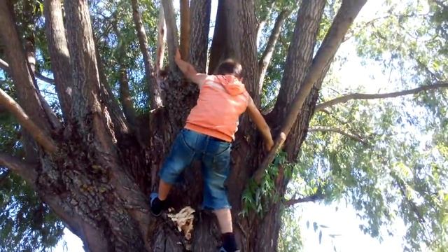 Офигительный прыжок с дерева основанные на реальных событиях в жизни😎😎😎😎😐😎😎😎😎😎😎😎😎😎😎😎 смотреть онлайн