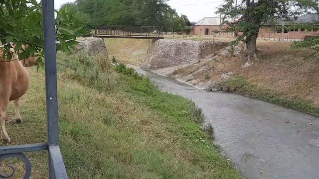 Прогулка в Село Гойты, достопримечательности Села Гой смотреть онлайн