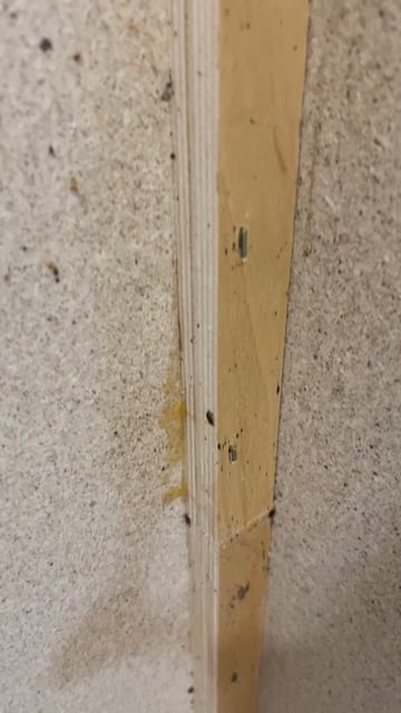 Десятки клопов 😱