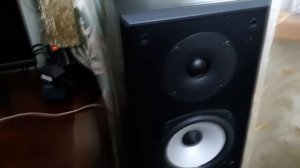 Усилитель D-класса на TPA 3116 распаковка, прослушка