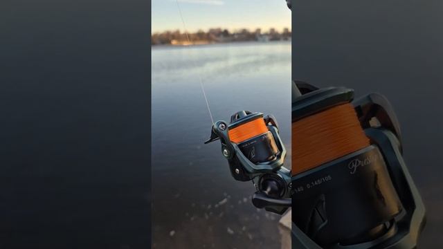 Начинаю проект ПРЕСТИЖНЫЙ мормышинг. Спиннинг Dayo prestige 0.2-0.8 + Dayo prestige 800. смотреть онлайн