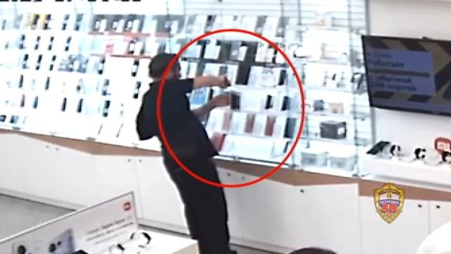 Полицейские столицы задержали приезжего, укравшего в смотреть онлайн