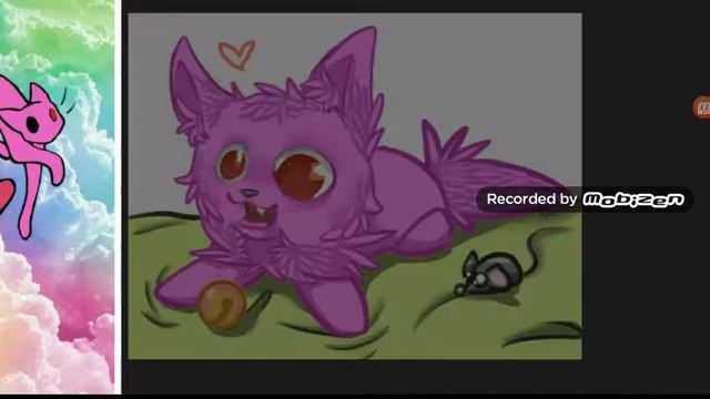 Подарок для кошачьей лавки на день рождения