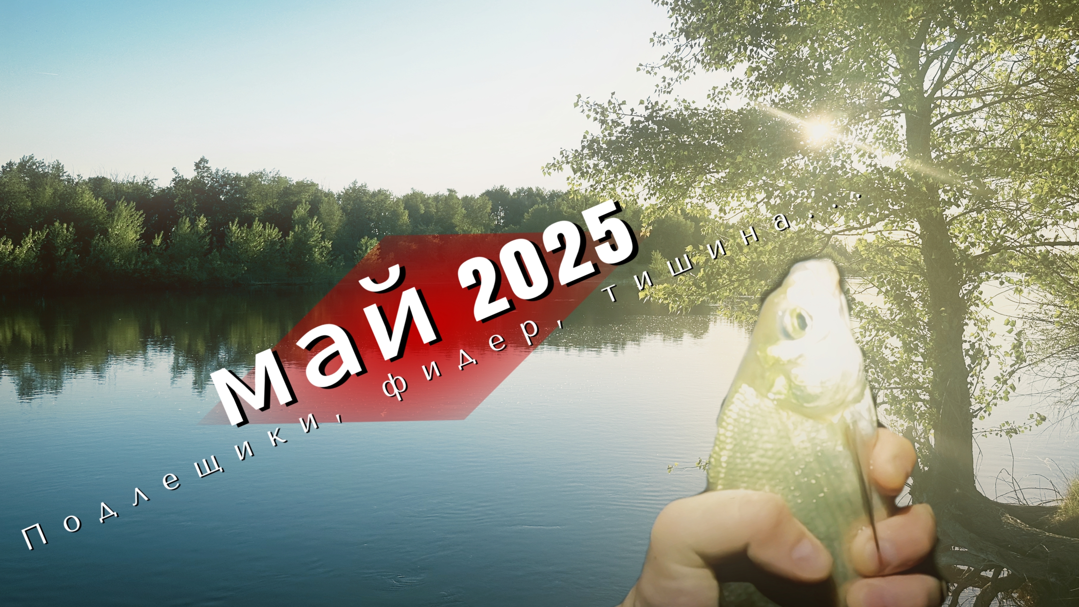 Ночная рыбалка. Фидер, подлещики и тишина. Май 2025.