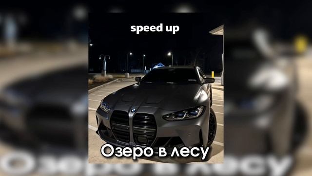 озеро в лесу