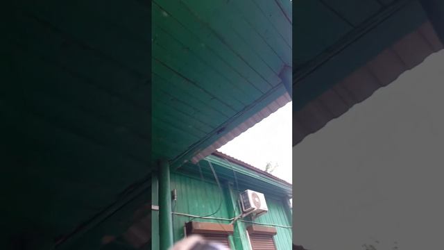 Полицейский участок номер 7 в городе Туран Тыва 📣 смотреть онлайн