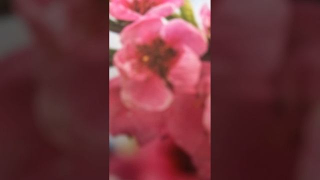 Мужские качества, рассказывает Хакимов