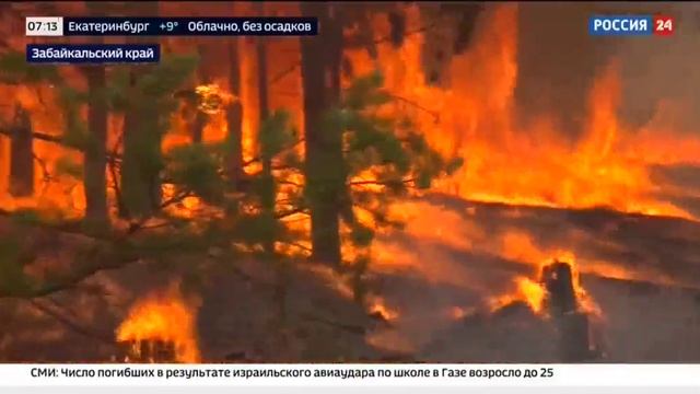 Россия 24_Лесные пожары в регионах РФ смотреть онлайн