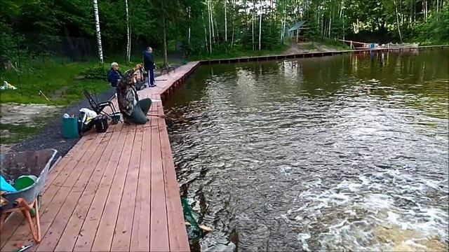 15.06.2018, КМ СПОРТ ЗОНА, КЛЁВ ФОРЫ ДО ЗАПУСКА смотреть онлайн