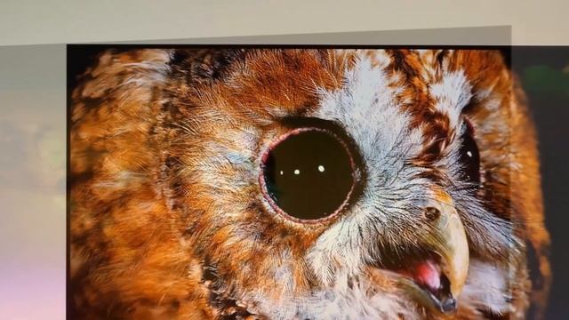 Телевизор Starwind SW-LED50UG400