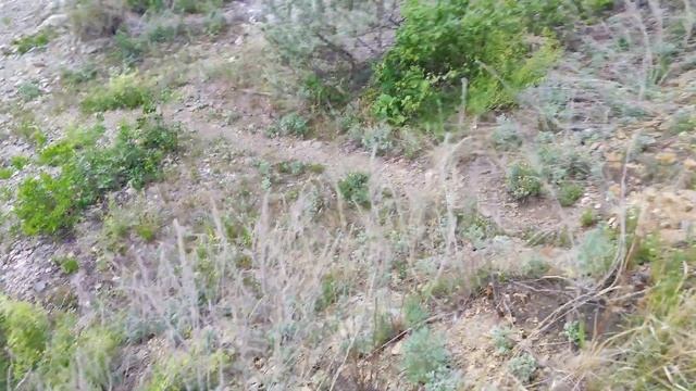 Муж привёз меня на озеро Иртяш смотреть онлайн