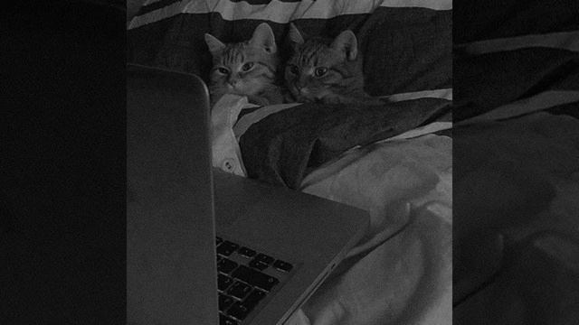 🔥Ольга Бузова - WiFi (speed up) 🔥 смотреть онлайн