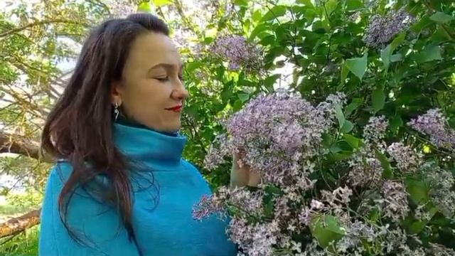 В.Е. Сорочкин "Сирень" смотреть онлайн