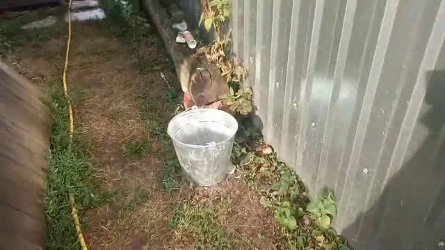 Как видëтся видео на Xiaomi Redmi 6A смотреть онлайн