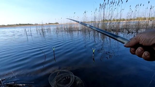 Рыбалка на поплавок весной на большом озере! РЫБА КЛЮЁ