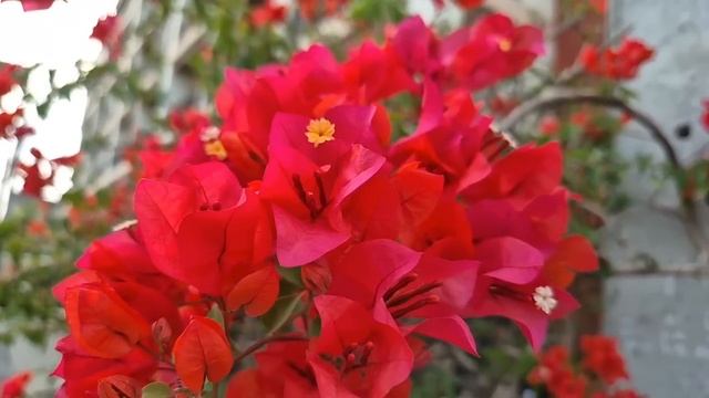 Заподозрив мужа, Аня установила скрытую камеру. Но уви смотреть онлайн