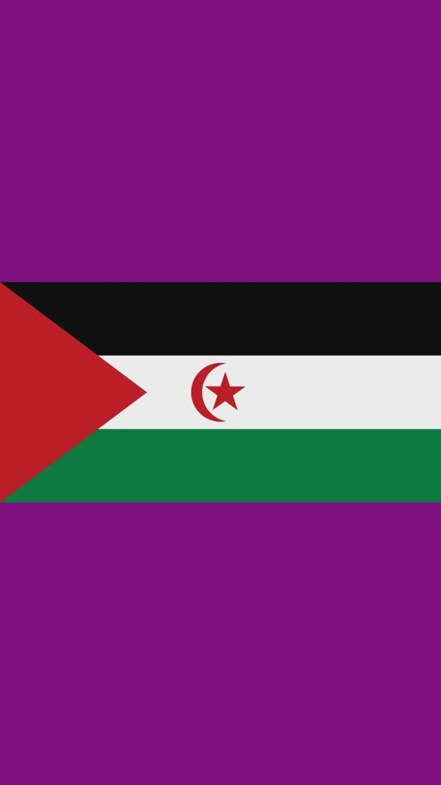 МИР. САДР. СТОЛИЦА ЭЛЬ-АЮН смотреть онлайн