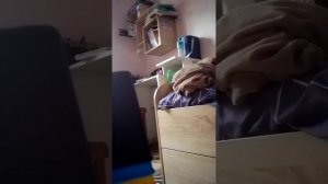 сборник всех историй со мной и моей младшей сестрой