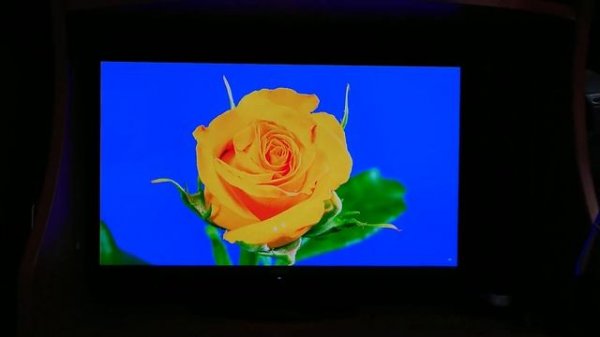 OLED лучше всех? Обзор монитора MSI MAG 271QPX QD-OLED