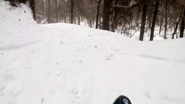 Sledding And Snowboarding In The Woods. На санях и на сноуборде с лесной Черневской горки.