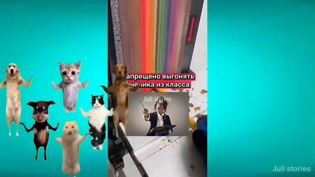 ЧТО НЕЛЬЗЯ ДЕЛАТЬ С ТЕЛЕФОНОМ