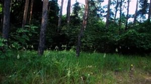 САВЕЛИЙ АД КАК ПОЗНАКОМИЛСЯ С НАДЕЙ. ДВЕ НЕДЕЛИ ЗВОНИЛ