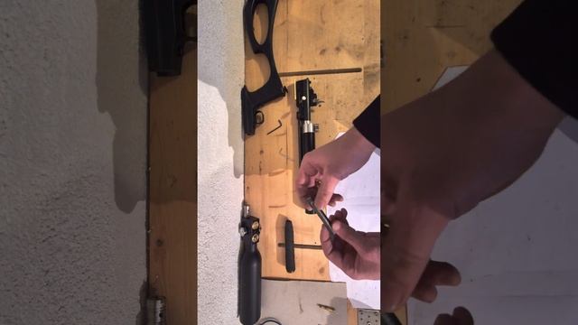 Псп Snowpeak Chaser Diana Bandit  4.5mm как будет выглядеть с другой п?