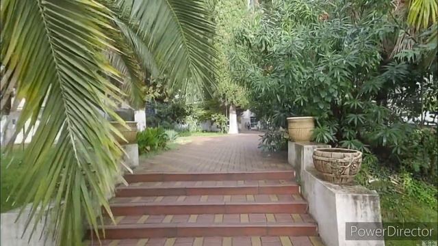 Абхазия. Гагра. Дом отдыха Челюскинцев. Обзор. 2024.