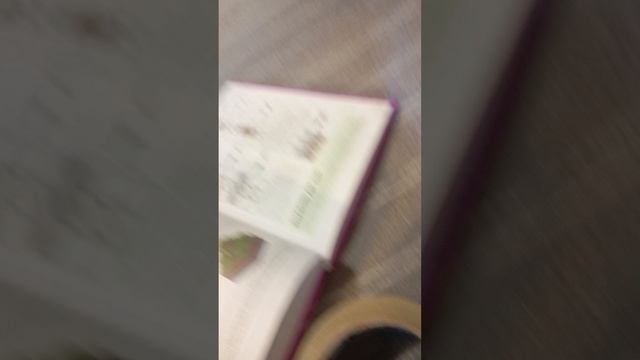 Play Time школа новый учитель часть первая.mp4 смотреть онлайн