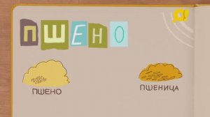 Интересные факты о пшене из программы "Что в тарелке?"