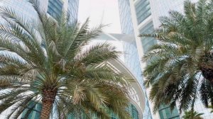 Бахрейн за один день: главные достопримечательности и