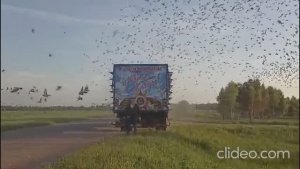 1 гонка. 252км. Московский регион. Старт 25 мая 2025 года.