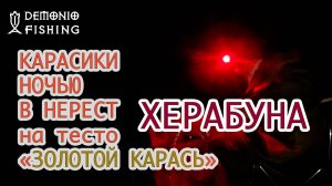 Ловля на Херабуну Ночью. Тесто 1000 карасей DEMONIO FISHING