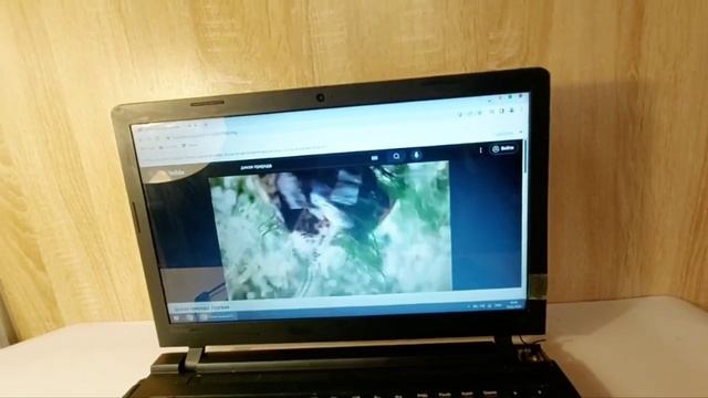 Ноутбук Lenovo B50-10 смотреть онлайн