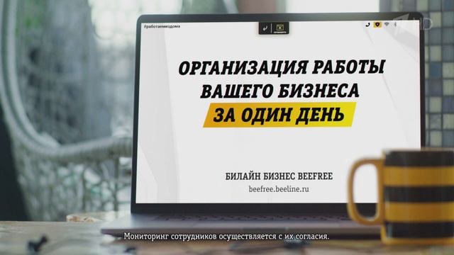 Реклама Билайн Бизнес Beefree смотреть онлайн