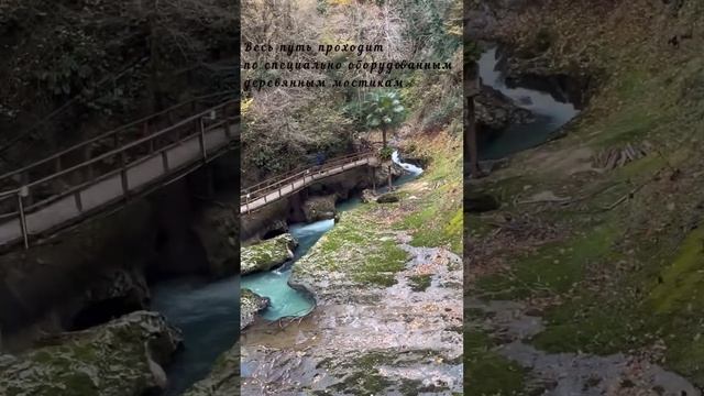 Абхазия. Ущелье Черниговка