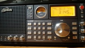 РадиоПираты на 3145 кГц. 19.04.25. Tecsun S-2000