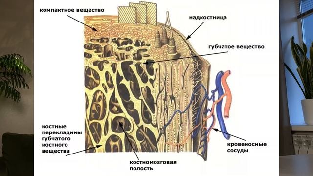 КАК СОХРАНИТЬ РЕЗУЛЬТАТ? смотреть онлайн