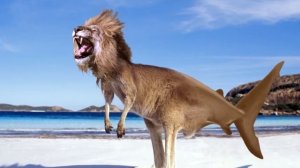 1488 ИНТЕРЕСНЫХ ФАКТОВ!!! (Удаленное видео каши)