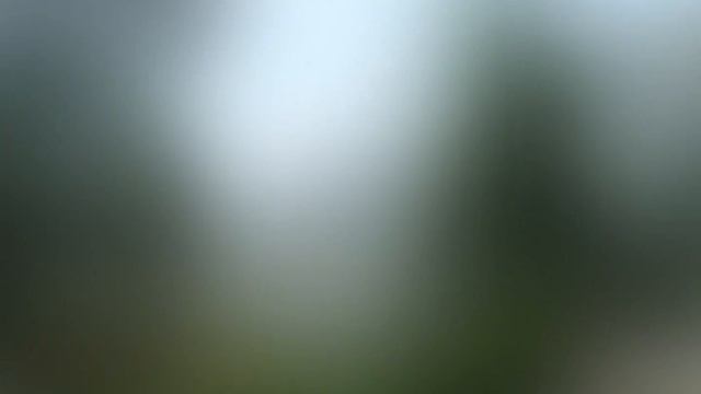 I Remember | Я помню