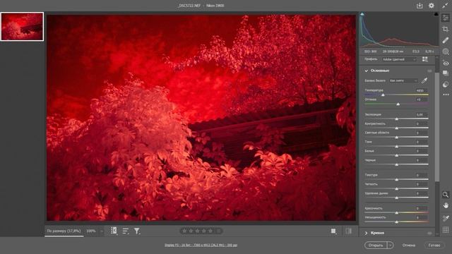 Инфракрасная фотосъемка и обработка снимков: краткий смотреть онлайн