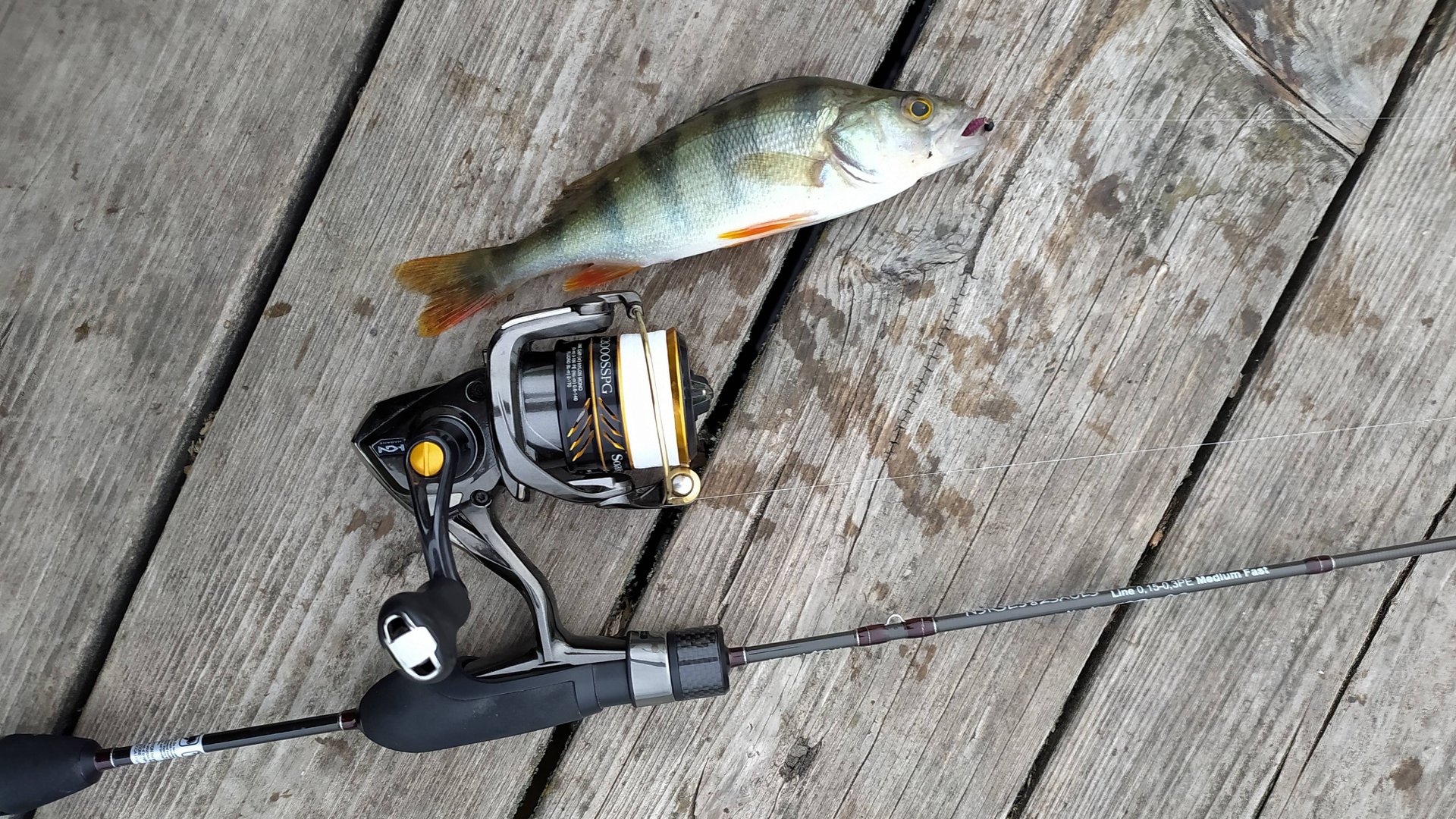 МОРМЫШИНГ. Черневские пруды, утром 17 мая 2025 года