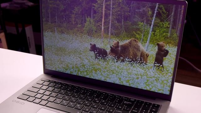 OSiO FocusLine F160a: ИНТЕРЕСНЫЙ НОУТБУК ДЛЯ ЖИЗНИ!