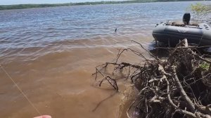 Летняя рыбалка на резинку 24.05.2025