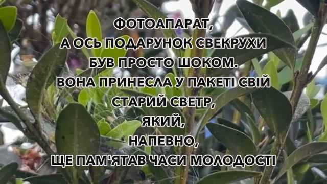 Я не збираюсь терпіти недоречні витівки своєї свекрухи! Довелось поставити її на місце! смотреть онлайн