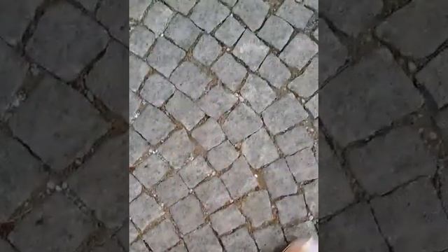 Обзор отеля Cesars templ. Belek. смотреть онлайн