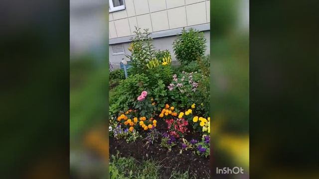 Среда. Утро. +20°С, но на солнышке жарко. смотреть онлайн