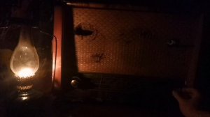 Обзор на советскую радиолу 1959 года Вэф-Аккорд (М-255Р) и ?