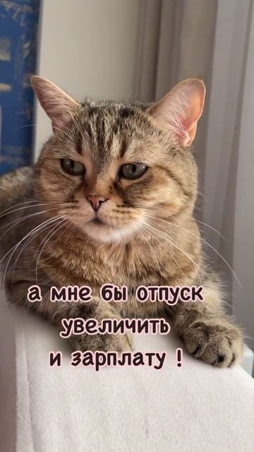 А вы что увеличили? смотреть онлайн