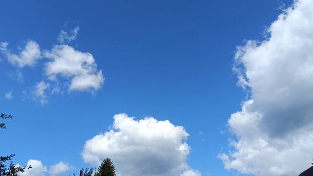 2024.07.23. Погода Петербург. 12:00. +26°. Жара. День дачника. смотреть онлайн